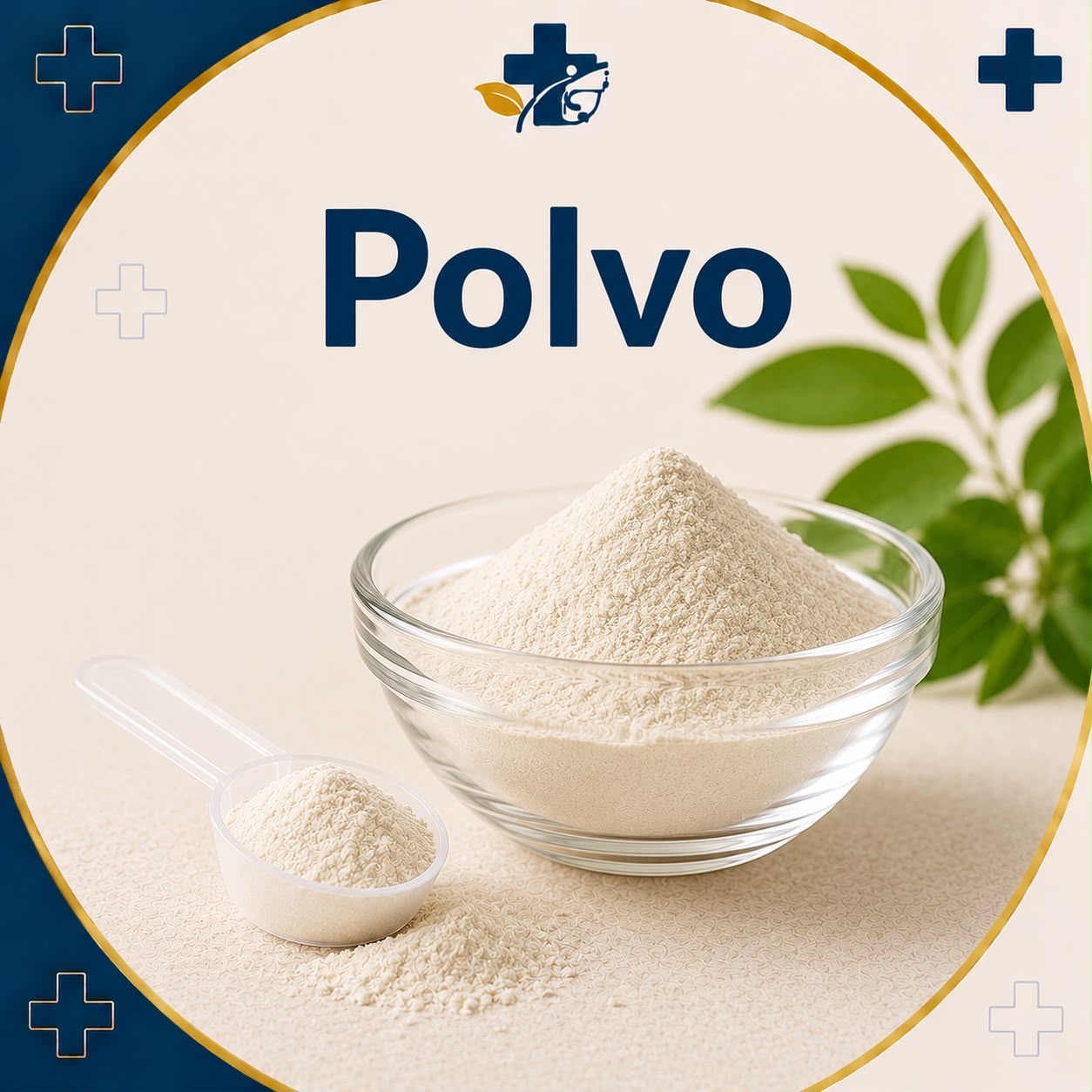 Polvo