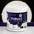 YOBULG ZARZAMORA